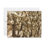 Tree Bark II Natural Textured Design