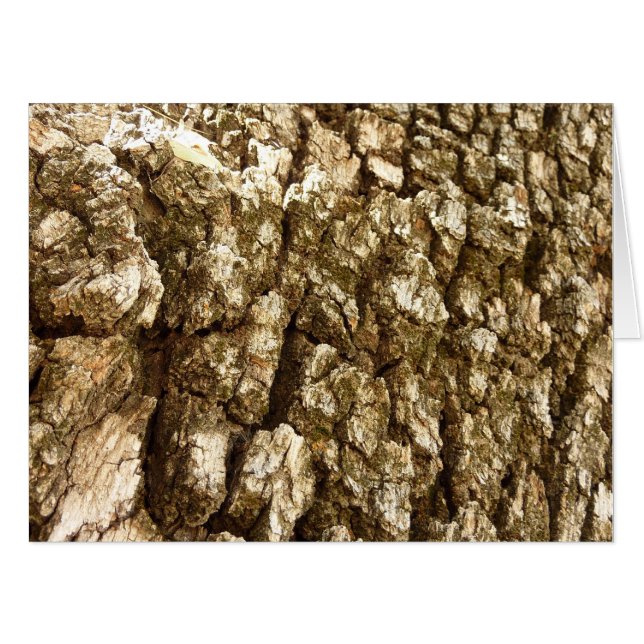 Tree Bark II Natural Textured Design Card (Front Horizontal)