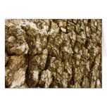 Tree Bark II Natural Textured Design Cards