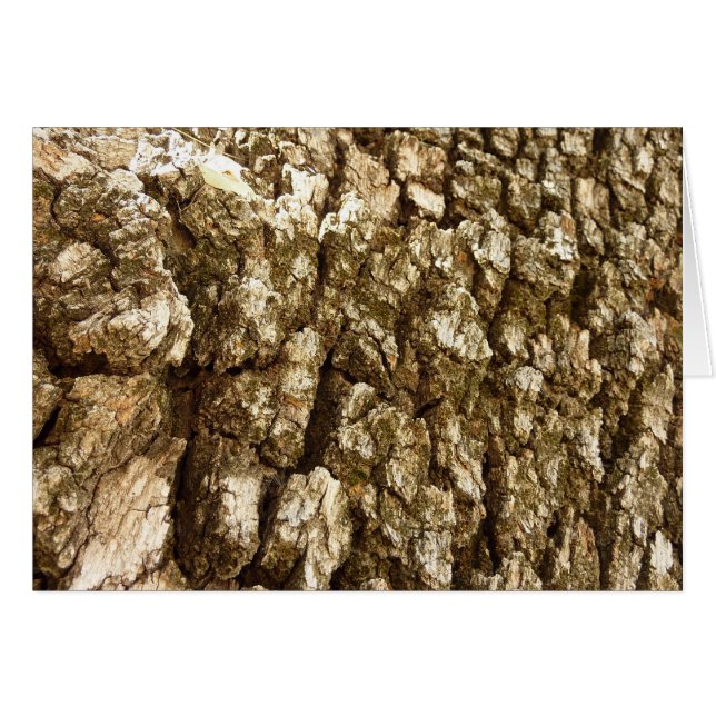 Tree Bark II Natural Textured Design Cards (Front Horizontal)