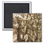 Tree Bark II Natural Textured Design Magnet