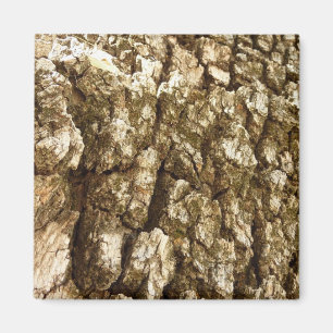 Tree Bark II Natural Textured Design Magnet