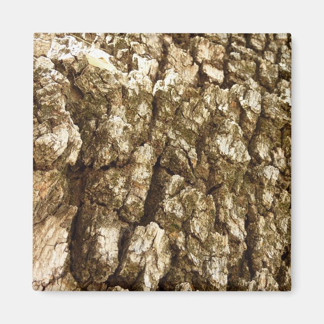 Tree Bark II Natural Textured Design Magnet (Front)