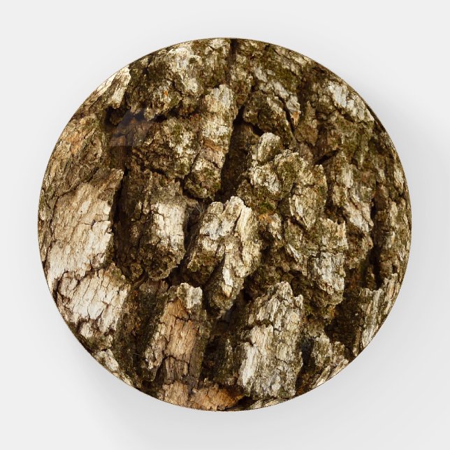Tree Bark II Natural Textured Design Paperweight (Front)