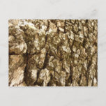 Tree Bark II Natural Textured Design Postcard