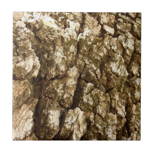 Tree Bark II Natural Textured Design Tile