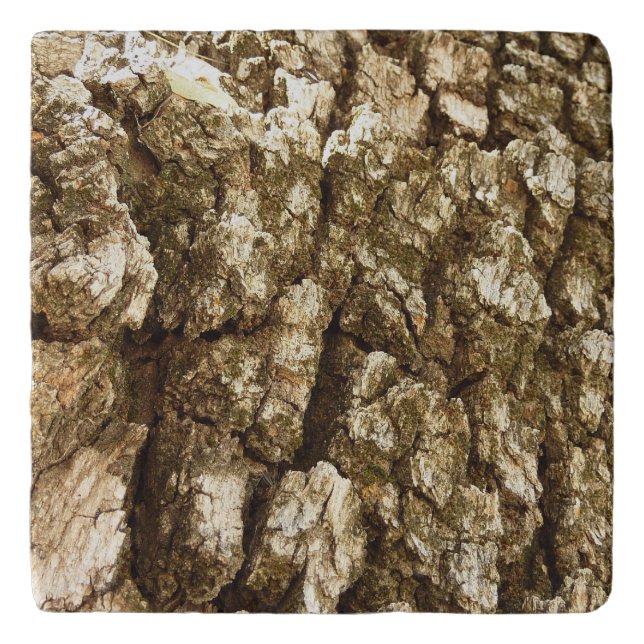Tree Bark II Natural Textured Design Trivet (Front)