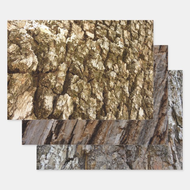 Tree Bark II Natural Textured Design Wrapping Paper Sheets (Set)