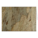 Tree Bark III Natural Abstract Textured Design Cards