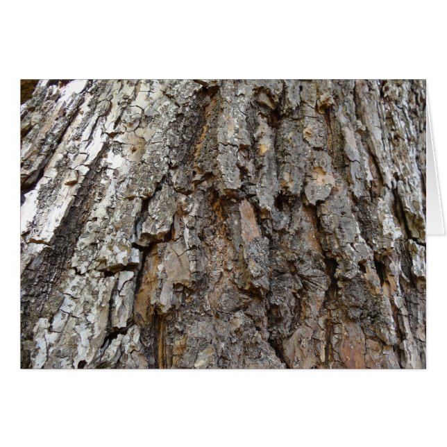Tree Bark IV Abstract Nature Cards (Front Horizontal)