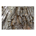 Tree Bark IV Abstract Nature Poster