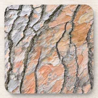 Tree Bark Nature Pattern Beverage Coaster