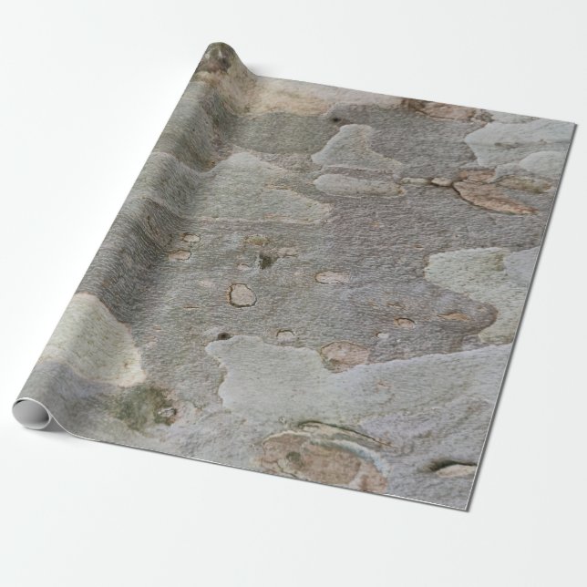 Tree bark pattern wrapping paper (Unrolled)