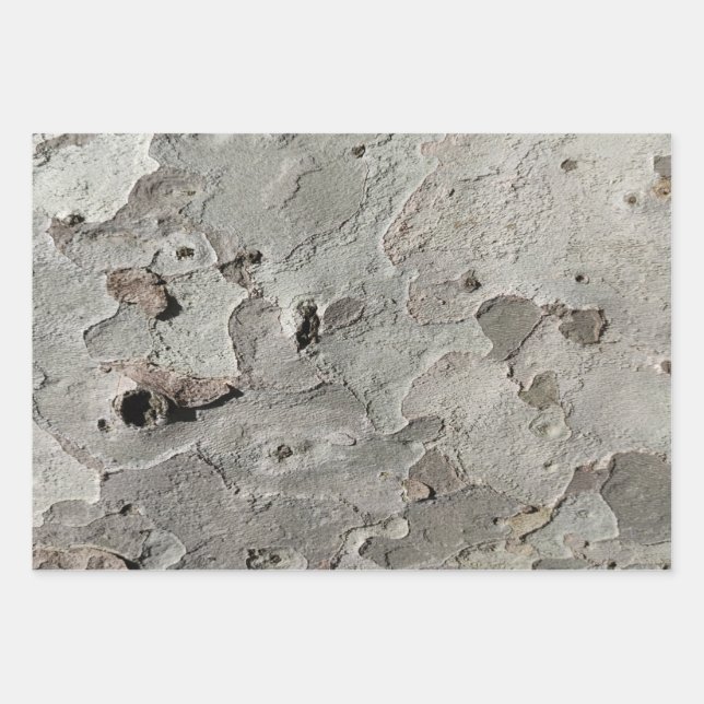 Tree bark pattern wrapping paper sheets (Front)
