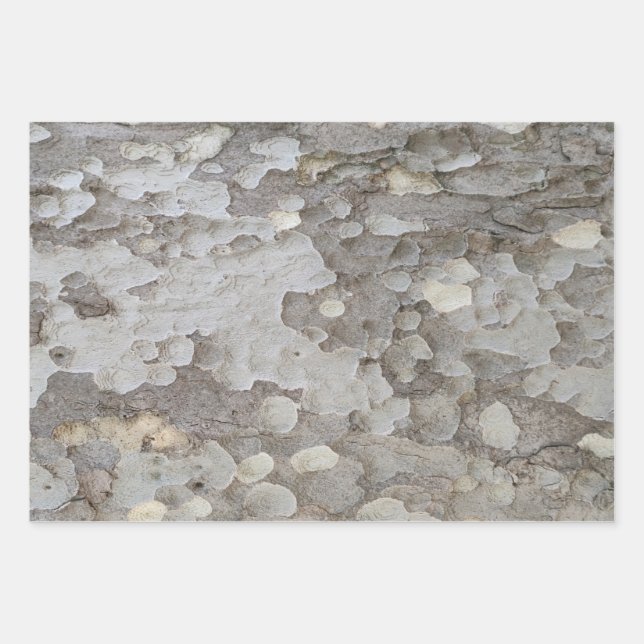 Tree bark pattern wrapping paper sheets (Front)