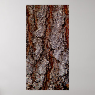 tree bark poster