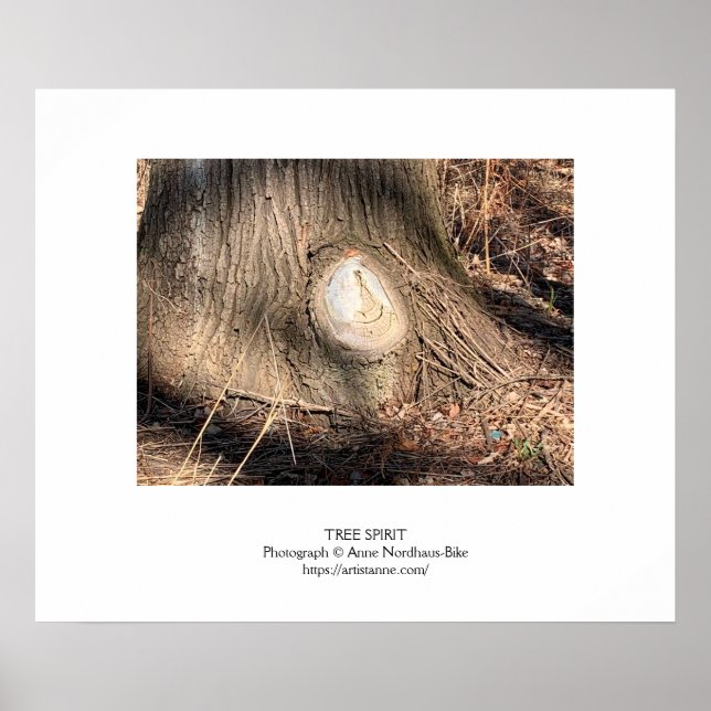 Tree Bark Texture Large Knothole Poster (Front)