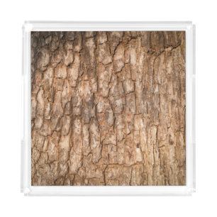Tree bark texture, natural wood background. acrylic tray