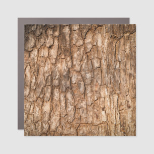 Tree bark texture, natural wood background. car magnet
