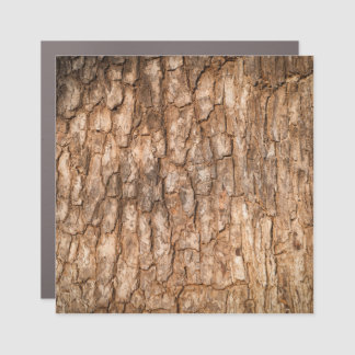 Tree bark texture, natural wood background. car magnet