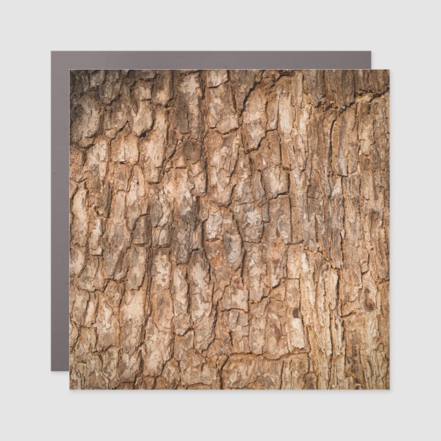 Tree bark texture, natural wood background. car magnet (Front)