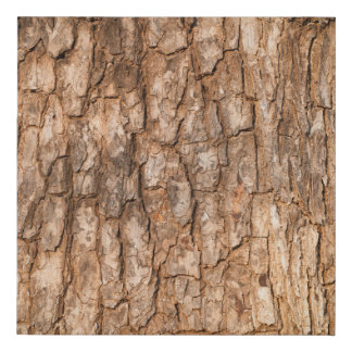 Tree bark texture, natural wood background. faux canvas print