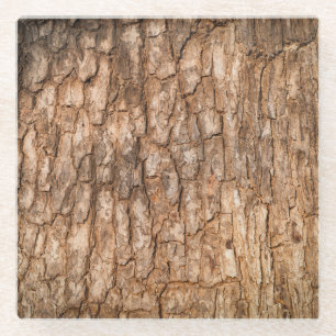 Tree bark texture, natural wood background. glass coaster