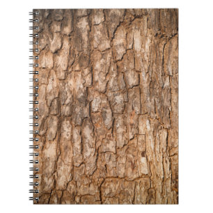Tree bark texture, natural wood background. notebook