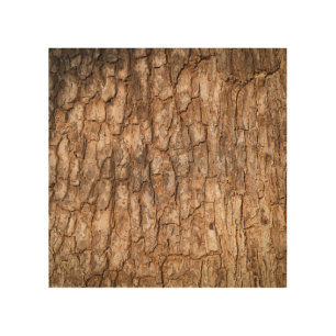 Tree bark texture, natural wood background. wall art