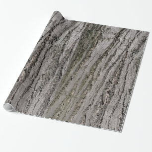 tree bark texture pattern nature plant wrapping paper