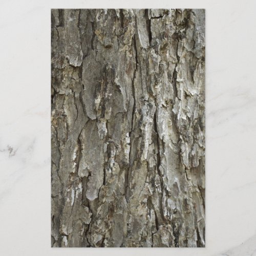 Tree Bark Texture Stationery