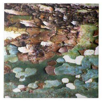 Tree Bark Textured Tile by StriveDesigns at Zazzle