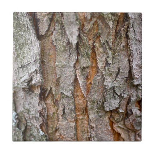 Tree Bark Wood Trees Forest Tile