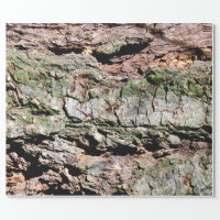 Birch Tree Rustic Woodland Wrapping Paper