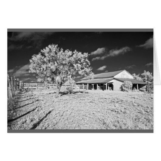 Tree, barn and fence (Front Horizontal)
