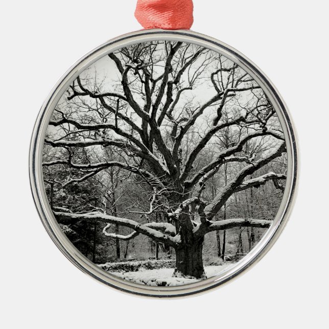 Tree Bedford Oak New York City Metal Ornament (Front)