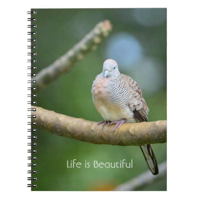 Tree Bird Kauai (my photography) Notebook (Front)