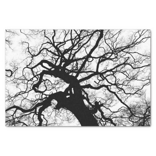 Tree Black and White Silhouette Tissue Paper