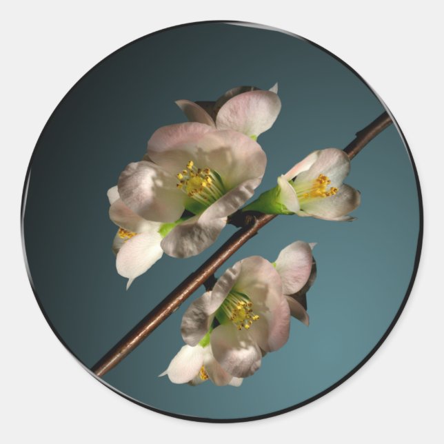 Tree Blossom Envelope Seal (Front)