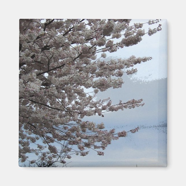 Tree Blossom Fridge Magnet (Front)