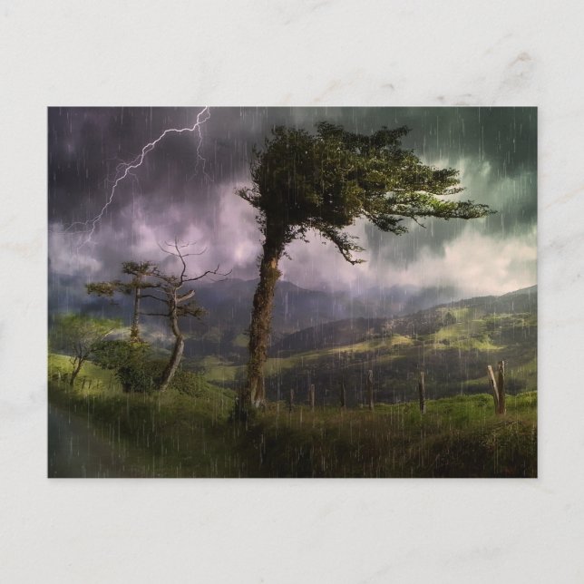 Tree Blowing in the Wind During a Thunder Storm Postcard (Front)