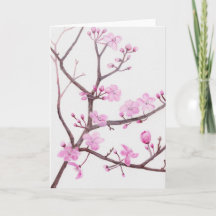 Tree branch blossoming with pink flowers in spring