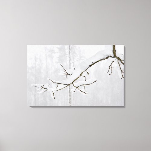 Tree branch covered with thick snow canvas print