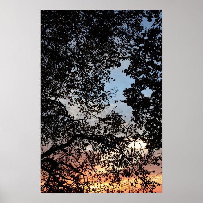 Tree Branch Silhouette Poster