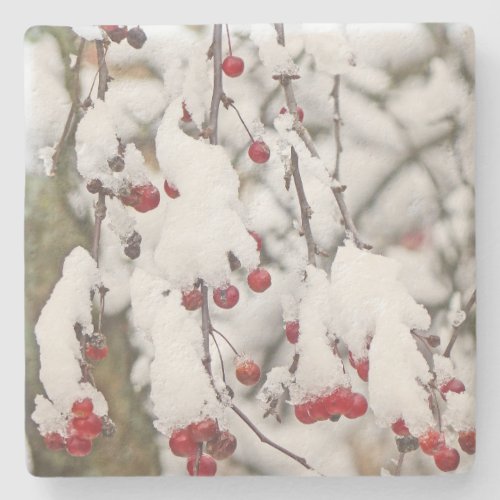 TREE BRANCH STEMS DANGLING RED BERRIES IN SNOW STONE COASTER