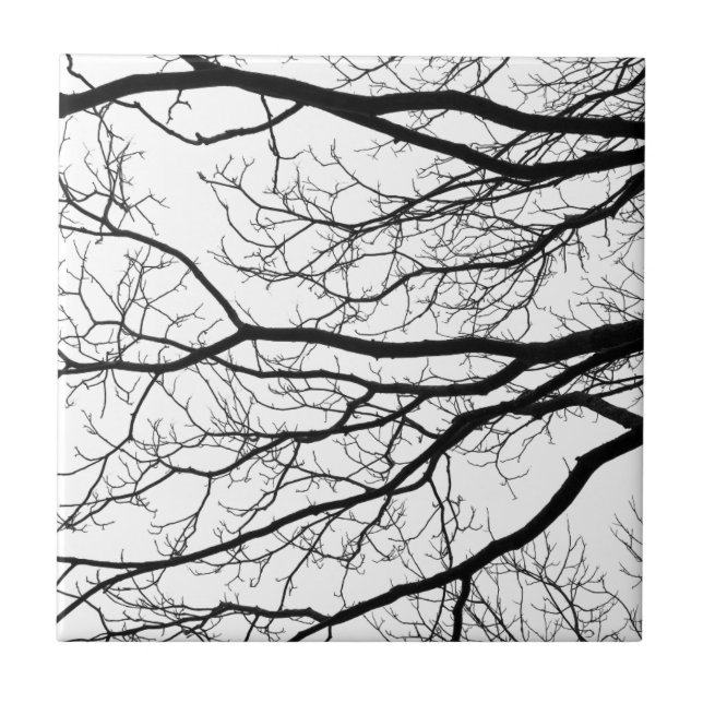 Tree branches abstract black and white tile (Front)