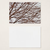 Tree Branches in Fall (Front & Back)