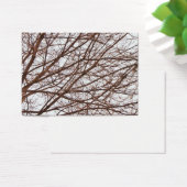 Tree Branches in Fall (Desk)