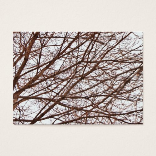 Tree Branches in Fall Business Card Template