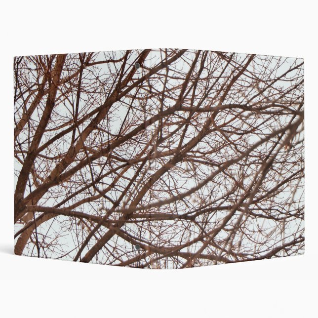 Tree Branches in Fall 3 Ring Binder (Background)